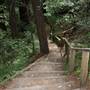 Butano State Park (SP)