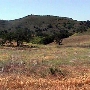 Cheeseboro / Palo Comado Canyons - National Park Service (NPS)