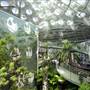 California Academy of Sciences