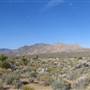 Providence Mountains State Recreation Area (SRA) / Mitchell Caverns