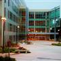 San Francisco State University - SFSU