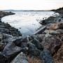 McLaughlin Eastshore State Park State Seashore (SP) - East Bay Regional Park District