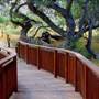 Canebrake Ecological Reserve - California Department of Fish and Wildlife (CDFW)