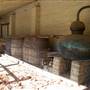 Sutter's Fort State Historic Park (SHP)