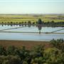 Sacramento-San Joaquin Delta