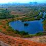 Ballona Wetlands Ecological Reserve - California Department of Fish & Wildlife (CDFW)