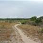 Burton Mesa Ecological Reserve - California Department of Fish & Wildlife (CDFW)