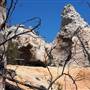 Bonny Doon Ecological Reserve - California Department of Fish & Wildlife (CDFW)