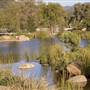 Windy Hill Ranch - El Campeon Farms