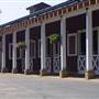 Windy Hill Ranch - El Campeon Farms