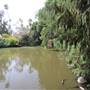 Los Angeles County Arboretum