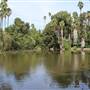 Los Angeles County Arboretum