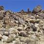 Desert View Conservation Area
