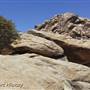 Desert View Conservation Area