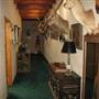 Skyotee Ranch
