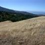 Calera Ranch