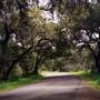 Carmel Valley Road / Monterey County Route G16