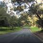 Litchfield Road