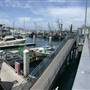 Monterey - Coastal Views