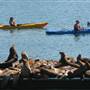 Moss Landing