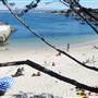 Pacific Grove