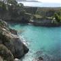 Point Lobos State Natural Reserve (SNR)