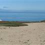 Sand City Beach / Eolian Dunes Preserve