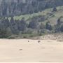 MacKerricher State Park (SP) - Inglenook Ten Mile Preserve - northern stretch - aka Ten Mile Dunes