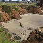 Pudding Creek Beach