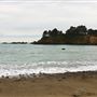 Van Damme State Park (SP) / Beach / Pygmy Forest / Fern Canyon Trail / Spring Ranch Trail