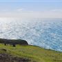 Navarro Point Preserve and Coastal Trail