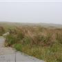 Navarro Point Preserve and Coastal Trail