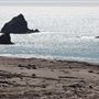 Navarro River Beach - Navarro River Redwoods State Park (SP)