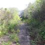 Ten Mile Estuary State Marine Conservation Area - Ten Mile River