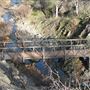 Shasta County Trails