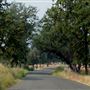 Shasta County Roads & Bridges