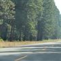 Shasta County Roads & Bridges