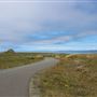 Noyo Headlands Park