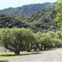 Rancho Grande
