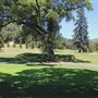 Todd Grove Park