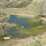 Firestone Pond