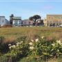 Mendocino