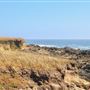 Van Damme State Park (SP) / Beach / Pygmy Forest / Fern Canyon Trail / Spring Ranch Trail