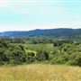Peachland Road