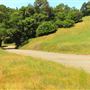 Peachland Road