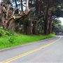 Highway 1 - North Coast corridor
