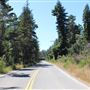 Little Lake Road