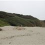 Jug Handle State Natural Reserve (SNR)