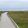 Boardwalk at Laguna Point @ (MacKerricher State Park)