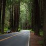 Navarro River Redwoods State Park (SP)